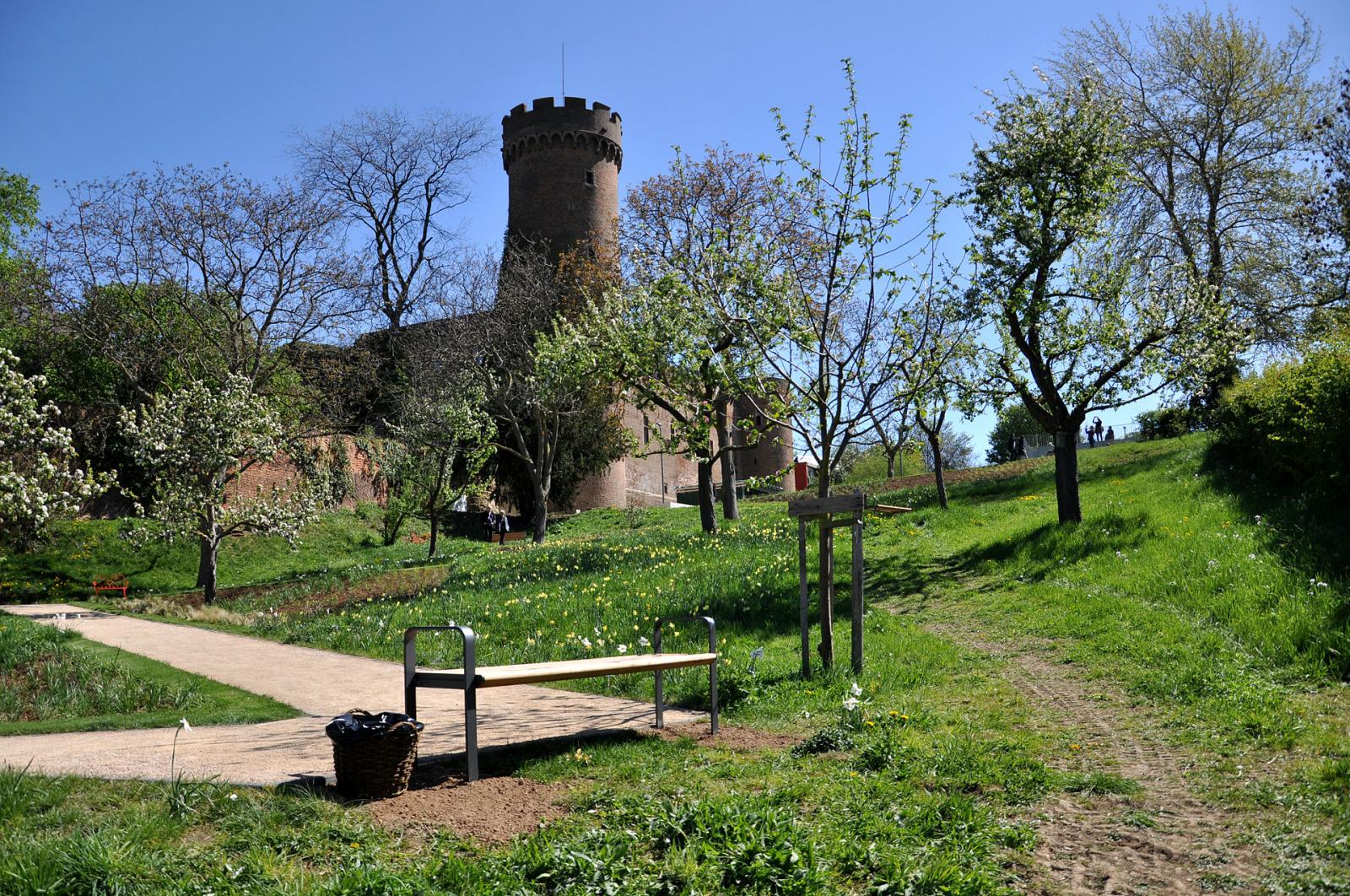 Obstwiese bei der LaGa 2014 mit Burg im Hintergrund