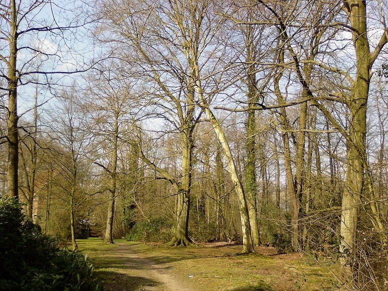 Park um das Haus