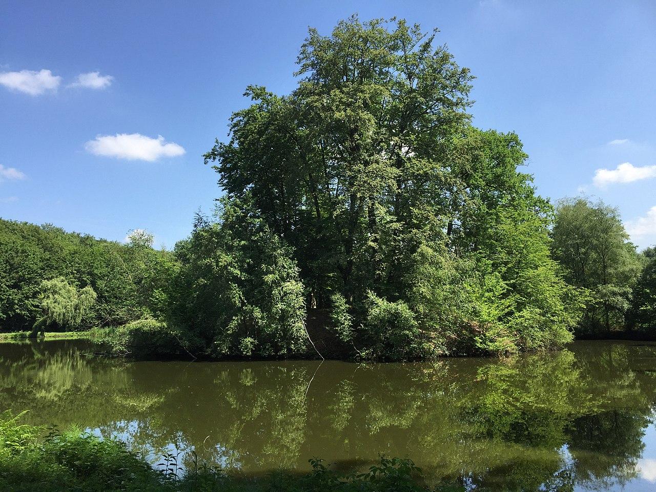 Weinbergteich im Tiergarten Raesfeld