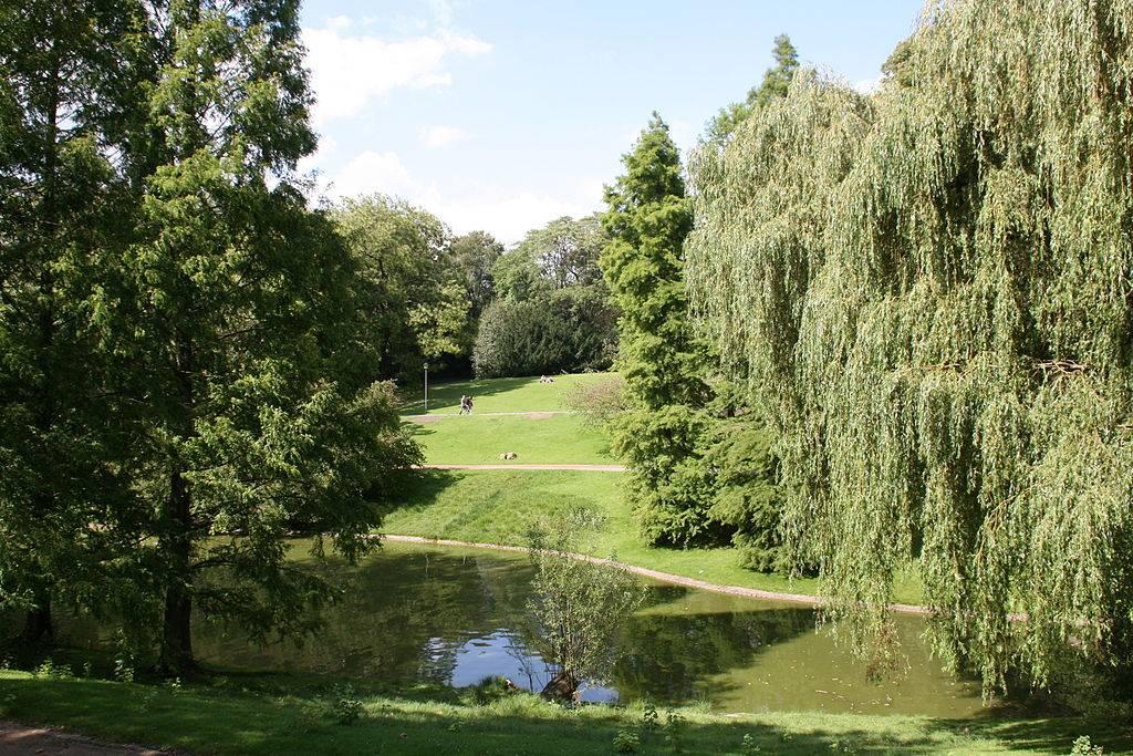 Teich im Stadtpark in Bochum